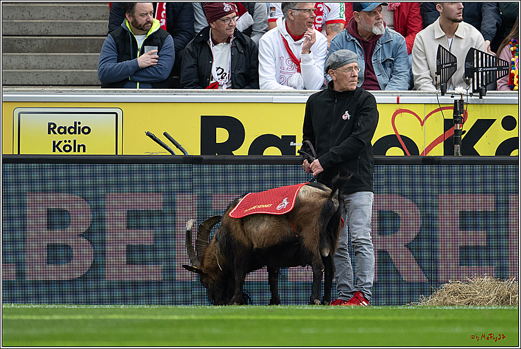 2. Fussball Bundesliga, 1.FC Köln - Fortuna Düsseldorf 1895, 23.02.2025